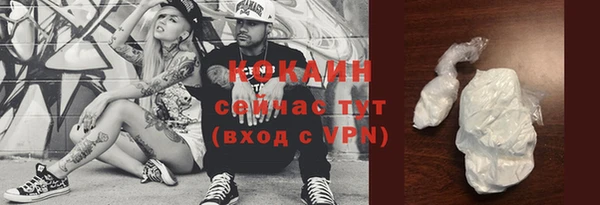 сатива Арсеньев