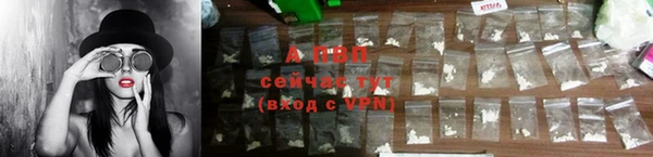 сатива Арсеньев