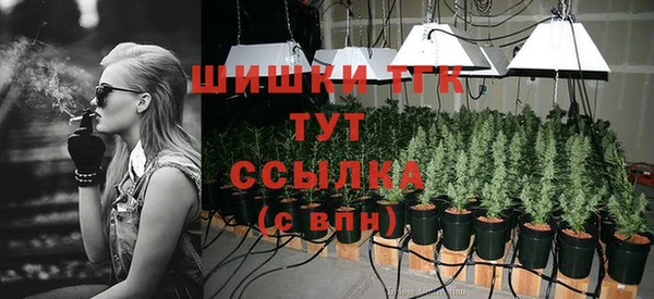 сатива Арсеньев