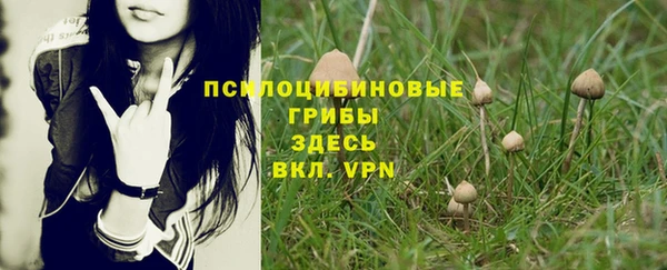 дурь Балабаново