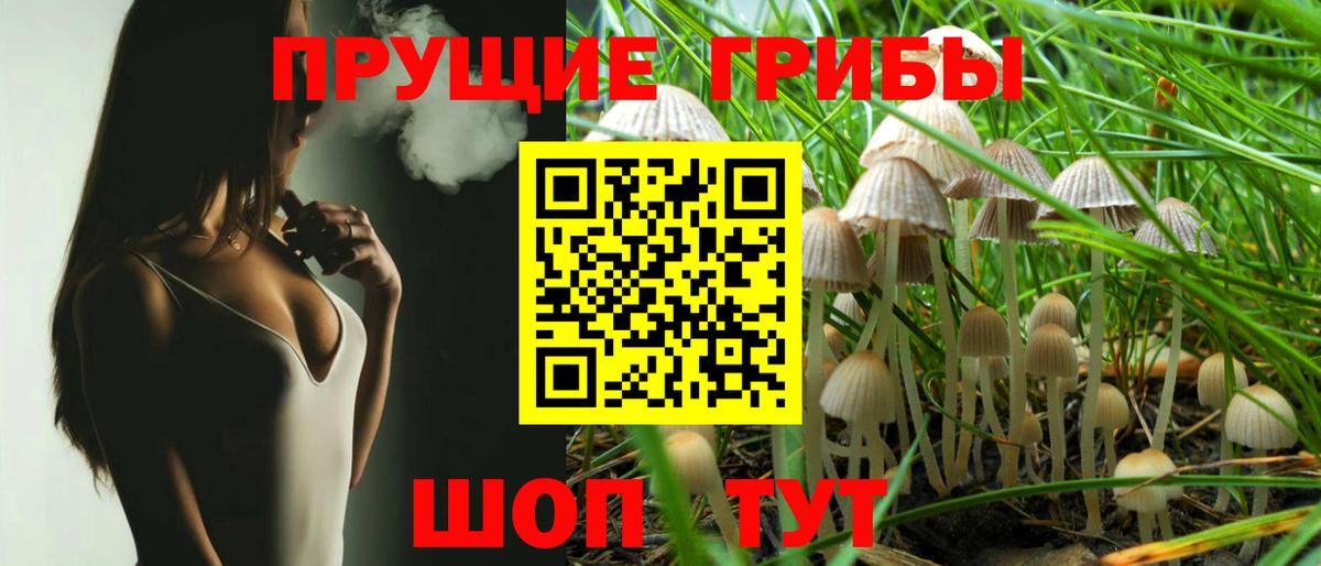 Псилоцибиновые грибы ЛСД Пушкино